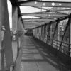 HP5 Plus - Recette Nikon Z