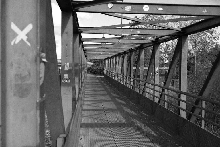 HP5 Plus - Nikon Picture Control - recipe HP5 Plus - Recette Nikon Z