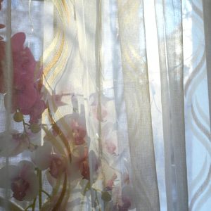01KKE9TQXEGA4TSJH47A4QDPNA NegativeFilm Cyan&Blue 01b