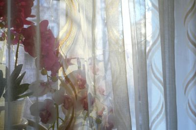 01KKE9TQXEGA4TSJH47A4QDPNA NegativeFilm Cyan&Blue 01b